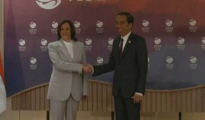 Le président indonésien Widodo rencontre la vice-présidente américaine Harris
