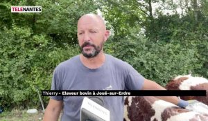 Foire de Béré : les éleveurs dans les startings-blocks