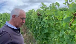 Jean-Charles Dubreucq, agriculteur et producteur de vin à Maresquel, détaille les secrets de sa production