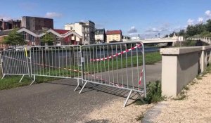 Saint-Quentin: sous le pont de la gare, des pigeons meurent piégés par un filet