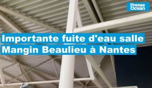 À la fin du match de handball, à Nantes, la salle Mangin-Beaulieu évacuée après une  fuite d’eau