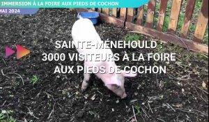 La foire aux pieds de cochon de retour à Sainte-Ménehould 