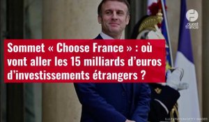 VIDÉO.Sommet « Choose France » : où vont aller les 15 milliards d’euros d’investissements étrangers 
