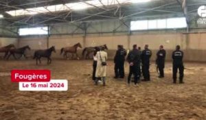 VIDÉO. Les pompiers de Fougères formés à intervenir avec les chevaux