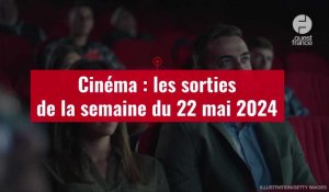 VIDÉO. Cinéma : les sorties de la semaine du 22 mai 2024