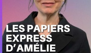 Les papiers express d'Amélie Nothomb ...