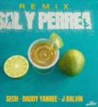 Sal y Perrea (Remix)