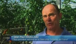 Les producteurs de fruits et légumes en pleine crise (Vendée)