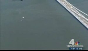 Une baleine dans le port de New York