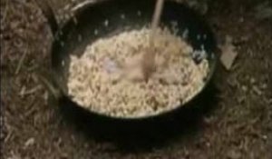 GB: ITV condamnée pour cruauté envers un rat tué puis mangé