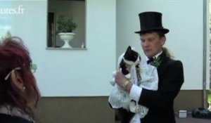 un allemand épouse... sa chatte