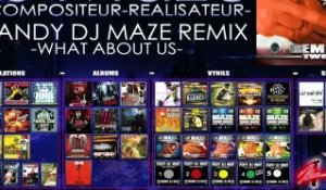 DJ MAZE REMIX BRANDY: WHAT ABOUT