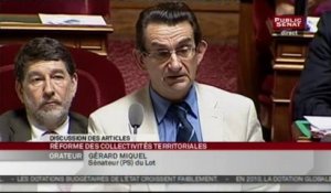 SEANCE,Séance - Projet de loi de réforme des collectivités territoriales