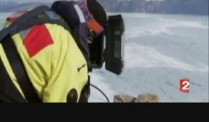 Glacier Petermann se détache du Groenland