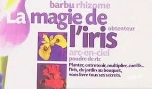 Bénédicte Boudassou : La magie de l'iris