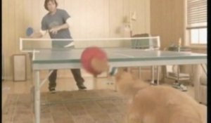 Un incroyable champion de ping-pong
