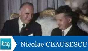 Nicolae Ceaușescu reçu à l'Elysée - Archive INA