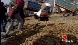Manifestation de producteurs de pommes de terre
