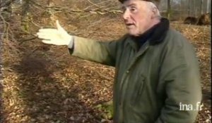 Etat des lieux de la filière bois fortement touchée par la très violente tempête