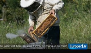 "Si juillet est bon, on sera à 20% de manque en miel"