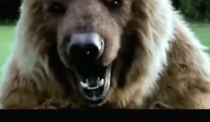 Brian Urlacher vs.bears: who wins ?