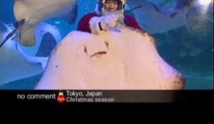 Fêtes de Noël à Tokyo - no comment