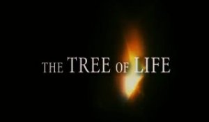 The Tree of Life - Bande-Annonce / Trailer [VOST-HD]