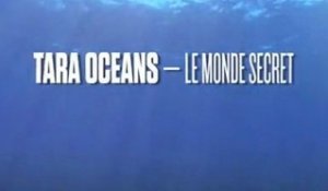 Tara Océan : Teaser du film - Le Monde Secret -
