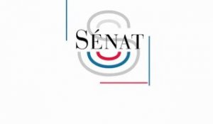 Sénat.Hebdo, le magazine vidéo du Sénat (20/05/201