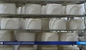 Fromages : le chaource reçoit