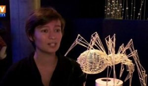 L'araignée à l'honneur au Muséum national d'Histoire naturelle à Paris