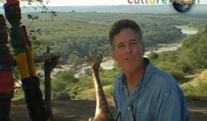 Dumb American tourist in South Africa
