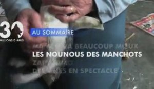 Sommaire émission 30 Millions d'Amis 5/2/2012