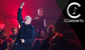 iConcerts - Peter Gabriel - Solsbury Hill (live)