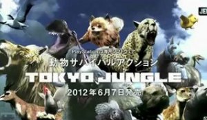Tokyo Jungle : chihuahua trailer