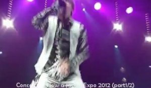 Concert de Flow à Japan Expo 2012 (Part 1/2)