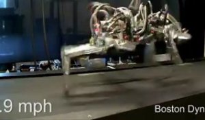 Ce robot court plus vite que Usain Bolt