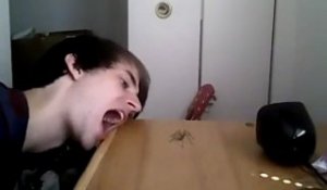 Il mange une araignée