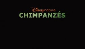 Chimpanzés - Bande-annonce [VF|HD] [NoPopCorn]