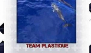Vendée Globe 2012 - Di Benedetto et les Dauphins (Team Plastique)