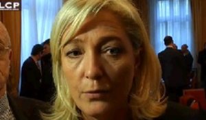 Reportages : Marine Le Pen relance son Rassemblement Bleu Marine