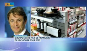 Les paris 2013 de Financière de l’Echiquier, Frédéric Plisson - 3 janvier - BFM Intégrale Bourse
