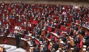 Les députés UMP scandent "Référendum! Référendum!" à l'Assemblée nationale