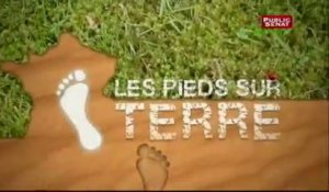 Les pieds sur terre: Le cidre breton recycle ses déchets