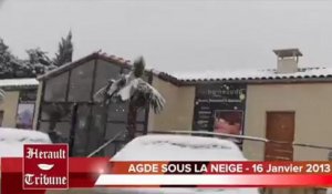 AGDE -  2013 - La Balade enneigée en Terre Agathoise