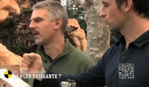 EM49 Quel animal a la mâchoire la plus puissante ?