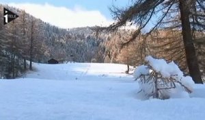 Avalanche dans les Alpes : 4 morts
