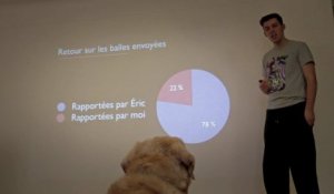 Abandonner son chien à l'aide d'un powerpoint