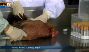 Grippe H7N9: Shanghaï s'inquiète d'un virus qui avance masqué - 12/04