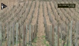 Climat: des vignobles français menacés dès 2050